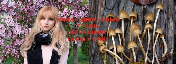 ПСИЛОЦИБИНОВЫЕ ГРИБЫ Козельск