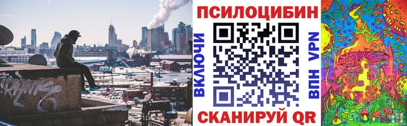 Купить  Дрезна  Галлюциногенные грибы GOLDEN TEACHER 