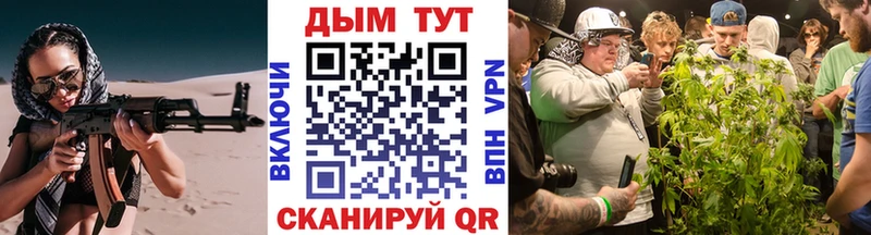 Купить где  Дрезна  Бошки марихуана марихуана 